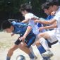 船橋啓明、君津商などが選手権千葉予選1次トーナメント突破