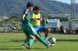 写真238