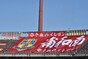 写真223