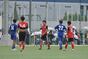 写真231