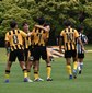 前橋育英と健大高崎がV王手　前橋商と共愛学園は決勝進出ならず