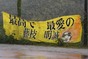 写真134