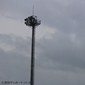 台風6号の影響により栃木3回戦を延期　3回戦以降の大会日程も発表