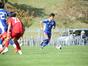 写真11