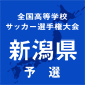 新潟第一、新潟商、敬和学園などが3回戦進出　選手権新潟予選2回戦2日目