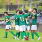 静岡学園、藤枝明誠、清水桜が丘、藤枝東が8強進出