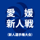 今治東が帝京第五を2-1で下し新人戦V　3位決定戦では済美が新田を下す