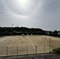 冬の全国を懸けた選手権神奈川予選がきょう開幕　