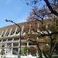 冬の高校日本一をかけた全国高校サッカー選手権がきょう開幕！　