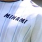 【全国中学校サッカー大会登録メンバー】さいたま市立南浦和中学校(埼玉)