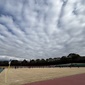 きょう静岡県大会準々決勝が開催