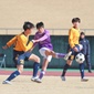 静岡学園、藤枝東、常葉大橘、磐田東が新人戦4強