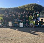 64校出場の静岡県大会の組み合わせが決定　3連覇を狙う静岡学園、浜松開誠館、藤枝東などが頂点を争う