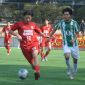 東京新人戦が4地区で開催　都立豊島が決勝進出　駿台学園、都立東大和南なども勝ち上がる