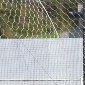 きょう全中が開幕　32校が熱戦