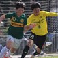 リーグ戦　柏レイソルU-18 vs 静岡学園